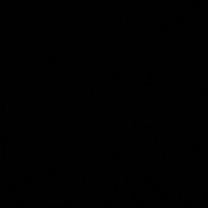 Meet your Posher, Slade